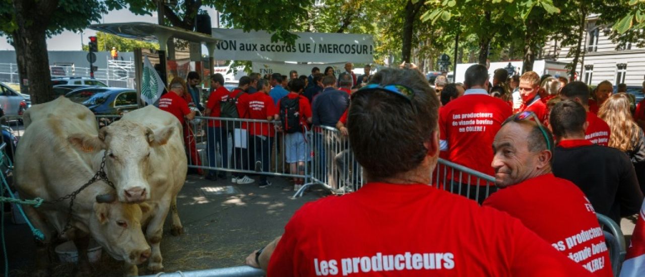 UE / MERCOSUR : Bruxelles milite pour l&rsquo;accord