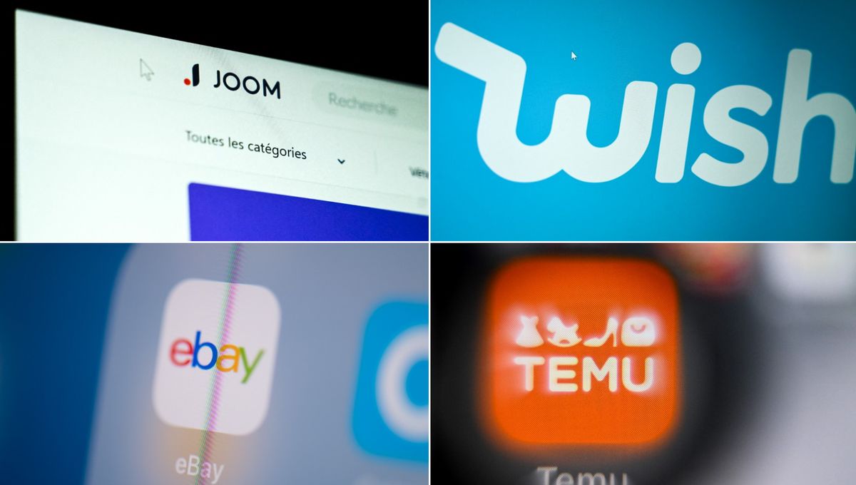 UE / FRANCE : Enquêtes sur les plateformes de ventes en ligne